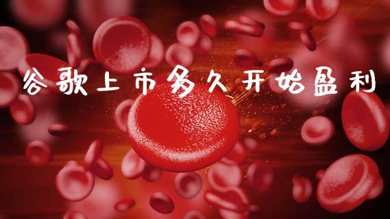 谷歌上市多久开始盈利_https://m.eyunqq.com_融资融券_第1张