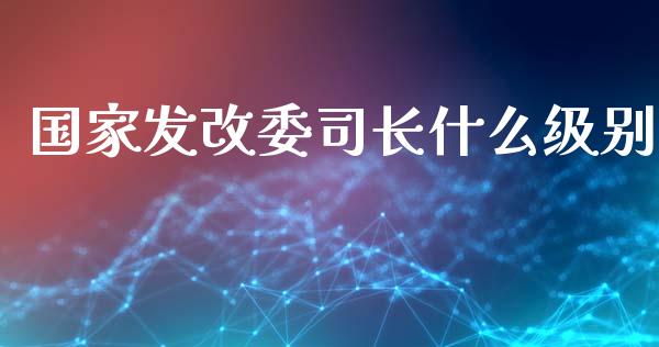 国家发改委司长什么级别_https://m.eyunqq.com_期货投资学习_第1张