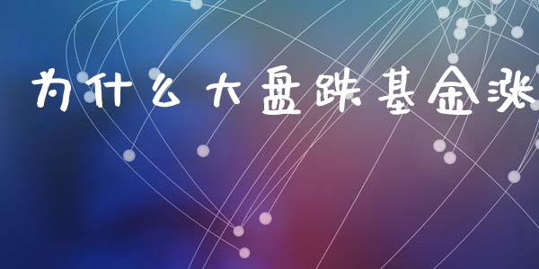 为什么大盘跌基金涨_https://m.eyunqq.com_期货投资学习_第1张