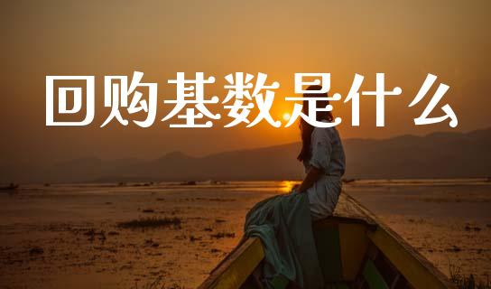 回购基数是什么_https://m.eyunqq.com_新股申购_第1张