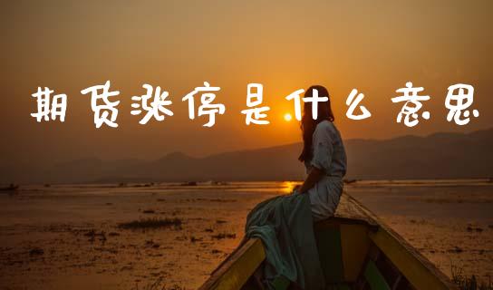 期货涨停是什么意思_https://m.eyunqq.com_期货投资学习_第1张