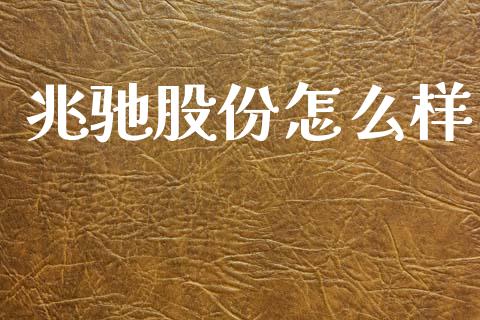 兆驰股份怎么样_https://m.eyunqq.com_期货投资学习_第1张