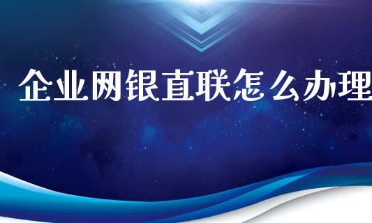 企业网银直联怎么办理_https://m.eyunqq.com_基金交易_第1张