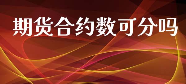 期货合约数可分吗_https://m.eyunqq.com_融资融券_第1张
