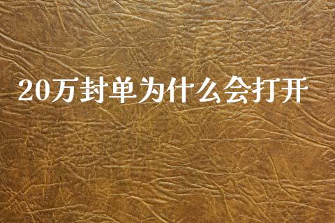 20万封单为什么会打开_https://m.eyunqq.com_融资融券_第1张