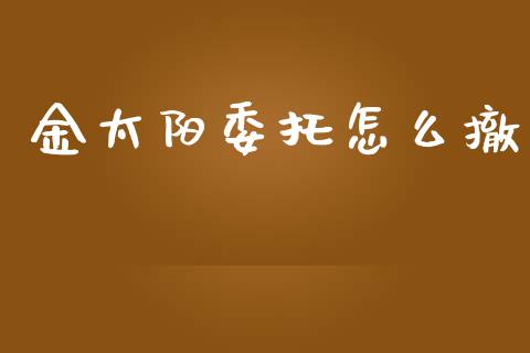 金太阳委托怎么撤_https://m.eyunqq.com_新股申购_第1张