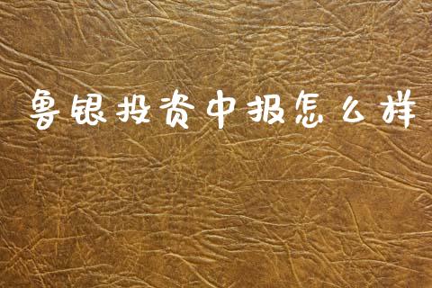 鲁银投资中报怎么样_https://m.eyunqq.com_基金交易_第1张