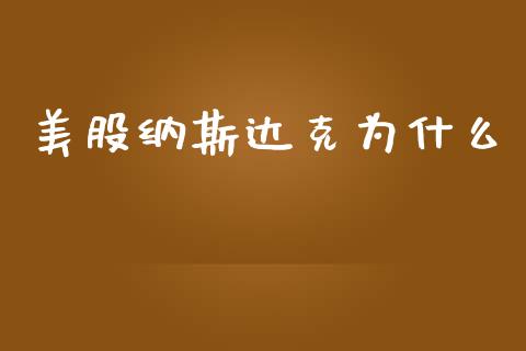 美股纳斯达克为什么_https://m.eyunqq.com_期货投资学习_第1张