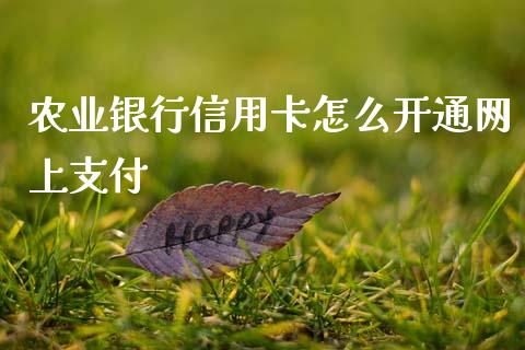 农业银行信用卡怎么开通网上支付_https://m.eyunqq.com_期货投资学习_第1张