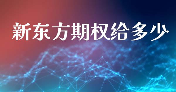 新东方期权给多少_https://m.eyunqq.com_期货投资学习_第1张