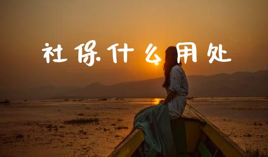 社保什么用处_https://m.eyunqq.com_期货投资学习_第1张