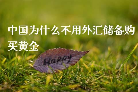 中国为什么不用外汇储备购买黄金_https://m.eyunqq.com_新股申购_第1张