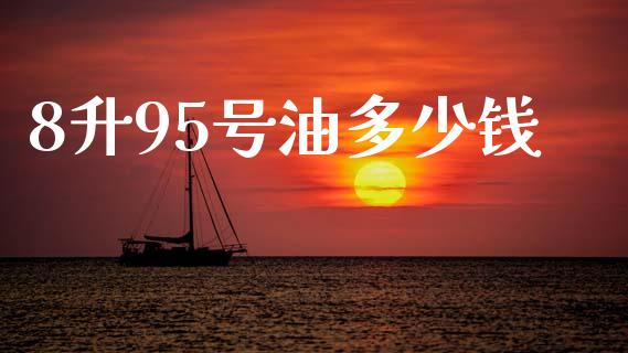 8升95号油多少钱_https://m.eyunqq.com_融资融券_第1张