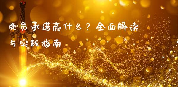 党员承诺亮什么？全面解读与实践指南_https://m.eyunqq.com_基金交易_第1张