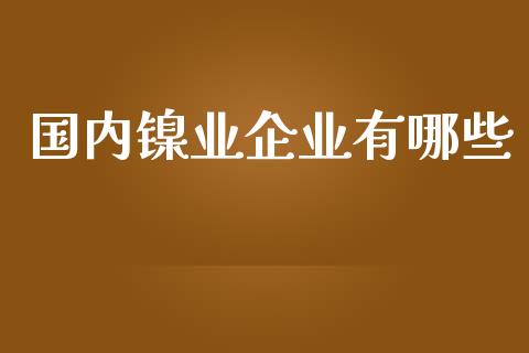 国内镍业企业有哪些_https://m.eyunqq.com_期货投资学习_第1张