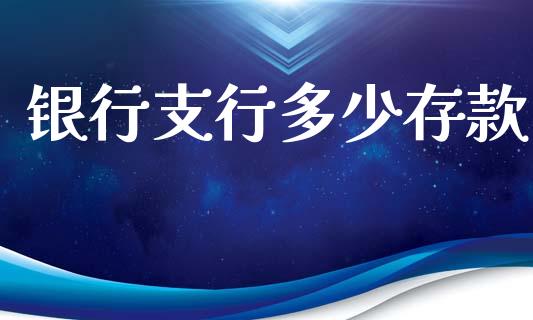 银行支行多少存款_https://m.eyunqq.com_基金交易_第1张