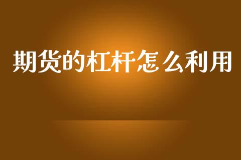 期货的杠杆怎么利用_https://m.eyunqq.com_新股申购_第1张