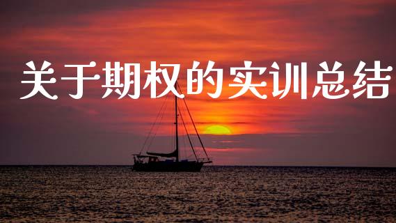 关于期权的实训总结_https://m.eyunqq.com_期货投资学习_第1张