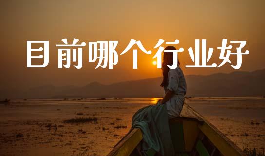 目前哪个行业好_https://m.eyunqq.com_期货投资学习_第1张