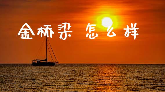 金桥梁 怎么样_https://m.eyunqq.com_基金交易_第1张