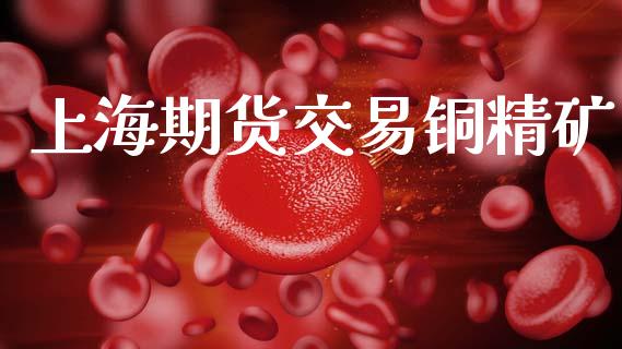 上海期货交易铜精矿_https://m.eyunqq.com_期货投资学习_第1张