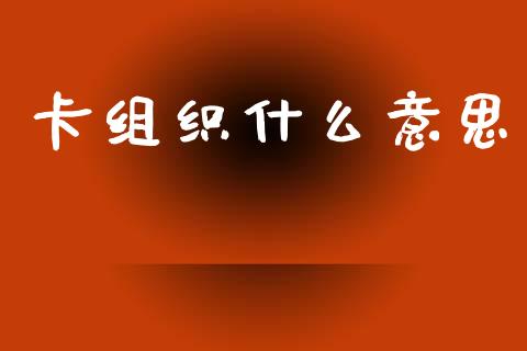 卡组织什么意思_https://m.eyunqq.com_基金交易_第1张