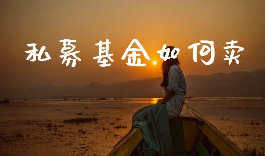 私募基金如何卖_https://m.eyunqq.com_期货投资学习_第1张