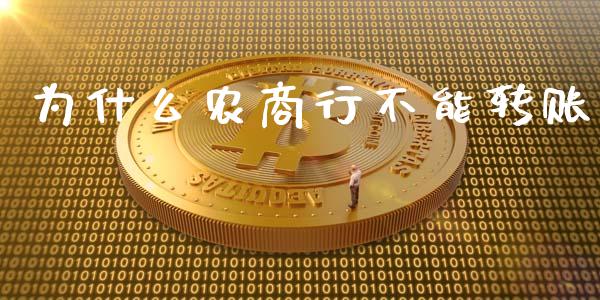 为什么农商行不能转账_https://m.eyunqq.com_期货投资学习_第1张
