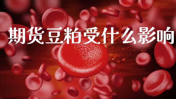 期货豆粕受什么影响_https://m.eyunqq.com_融资融券_第1张