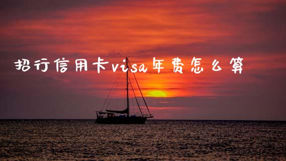 招行信用卡visa年费怎么算_https://m.eyunqq.com_基金交易_第1张
