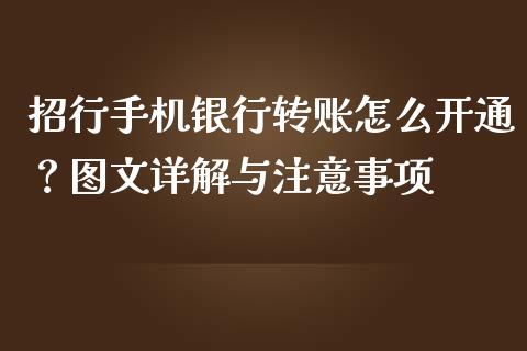 招行手机银行转账怎么开通？图文详解与注意事项_https://m.eyunqq.com_期货投资学习_第1张