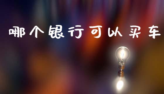 哪个银行可以买车_https://m.eyunqq.com_新股申购_第1张