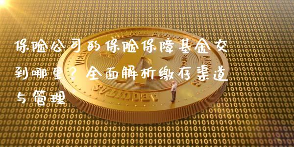 保险公司的保险保障基金交到哪里？全面解析缴存渠道与管理_https://m.eyunqq.com_融资融券_第1张