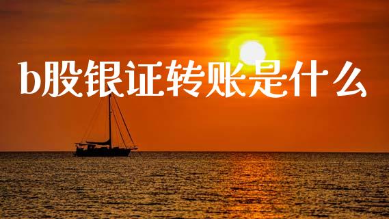b股银证转账是什么_https://m.eyunqq.com_期货投资学习_第1张