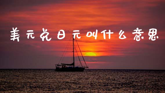 美元兑日元叫什么意思_https://m.eyunqq.com_融资融券_第1张