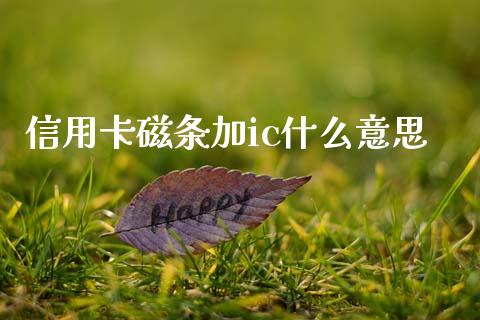 信用卡磁条加ic什么意思_https://m.eyunqq.com_期货投资学习_第1张