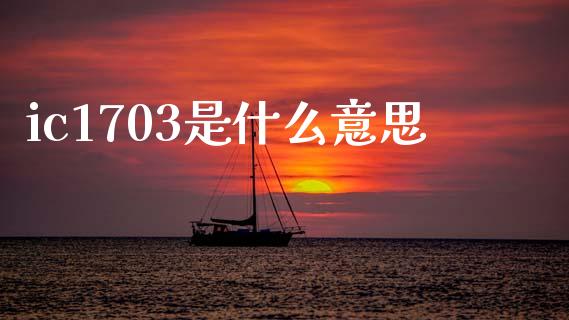 ic1703是什么意思_https://m.eyunqq.com_融资融券_第1张
