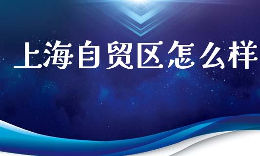 上海自贸区怎么样_https://m.eyunqq.com_期货投资学习_第1张