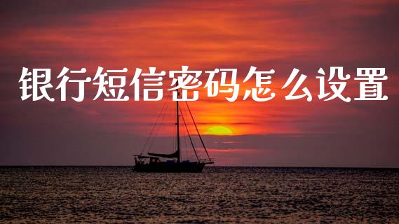 银行短信密码怎么设置_https://m.eyunqq.com_新股申购_第1张