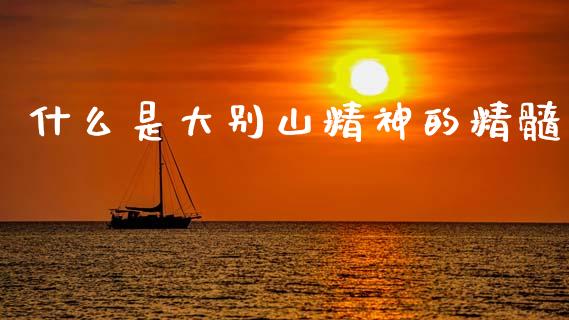 什么是大别山精神的精髓_https://m.eyunqq.com_新股申购_第1张
