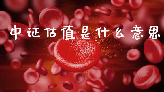 中证估值是什么意思_融资融券_第1张_期货投资学习_新股申购_融资融券_基金交易 中证估值是什么意思_https://m.eyunqq.com_融资融券_第1张