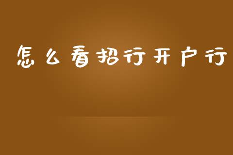 怎么看招行开户行_https://m.eyunqq.com_期货投资学习_第1张