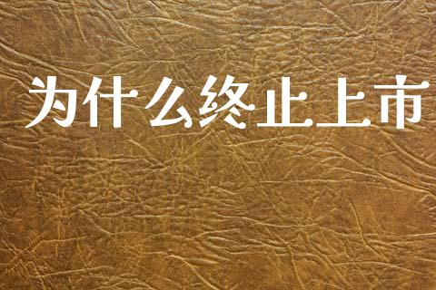 为什么终止上市_https://m.eyunqq.com_期货投资学习_第1张
