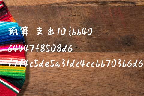预算 支出10% 哪里的_https://m.eyunqq.com_基金交易_第1张