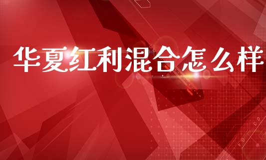 华夏红利混合怎么样_https://m.eyunqq.com_基金交易_第1张