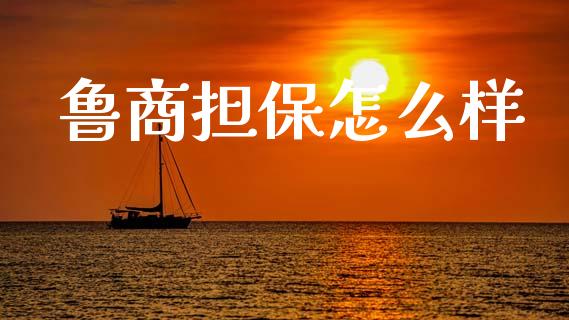 鲁商担保怎么样_https://m.eyunqq.com_基金交易_第1张