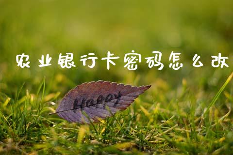 农业银行卡密码怎么改_https://m.eyunqq.com_基金交易_第1张