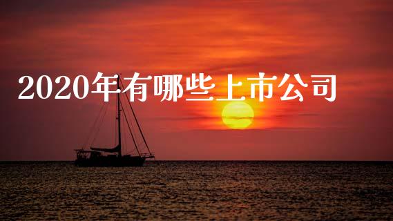 2020年有哪些上市公司_https://m.eyunqq.com_新股申购_第1张