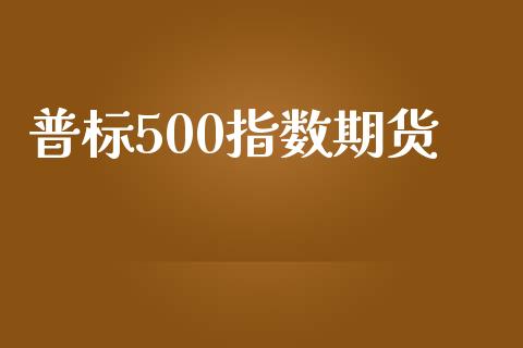 普标500指数期货_https://m.eyunqq.com_新股申购_第1张