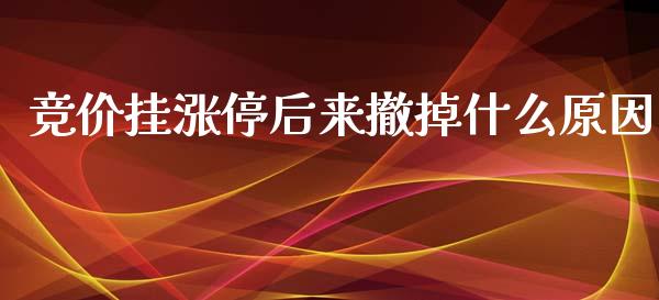 竞价挂涨停后来撤掉什么原因_https://m.eyunqq.com_新股申购_第1张